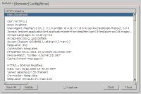 LiveHTTPHeaders
  showing request and response headers